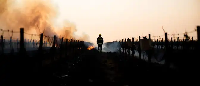 Поиск виноватых на стороне: российская сторона ответила на обвинения в поджогах французских лесов